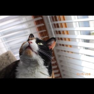 Meet your Posher, Jaymee